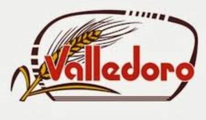 Logo_valledoro